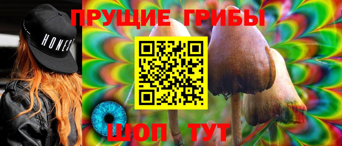 Псилоцибиновые грибы Psilocybine cubensis Иркутск