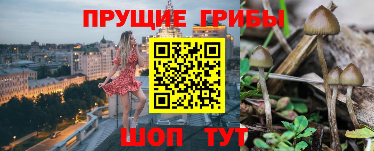 Галлюциногенные грибы ЛСД  купить  сайты  Иркутск  Вход с VPN 